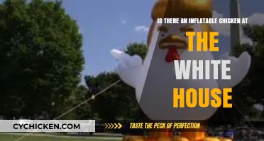 Inflatable Chickens: A White House Mystery