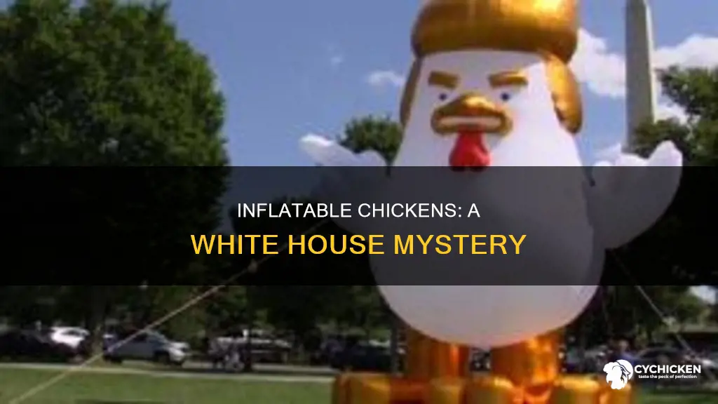 is there an inflatable chicken at the white house