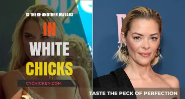 White Chicks' Wayans Mystery: Uncovering the Truth Behind the Cast