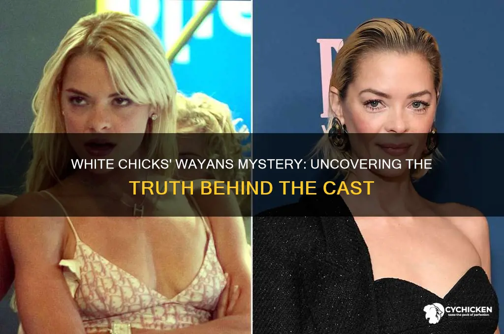 is there another wayans in white chicks