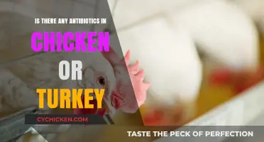 Antibiotics in Poultry: Are Chicken and Turkey Safe to Eat?