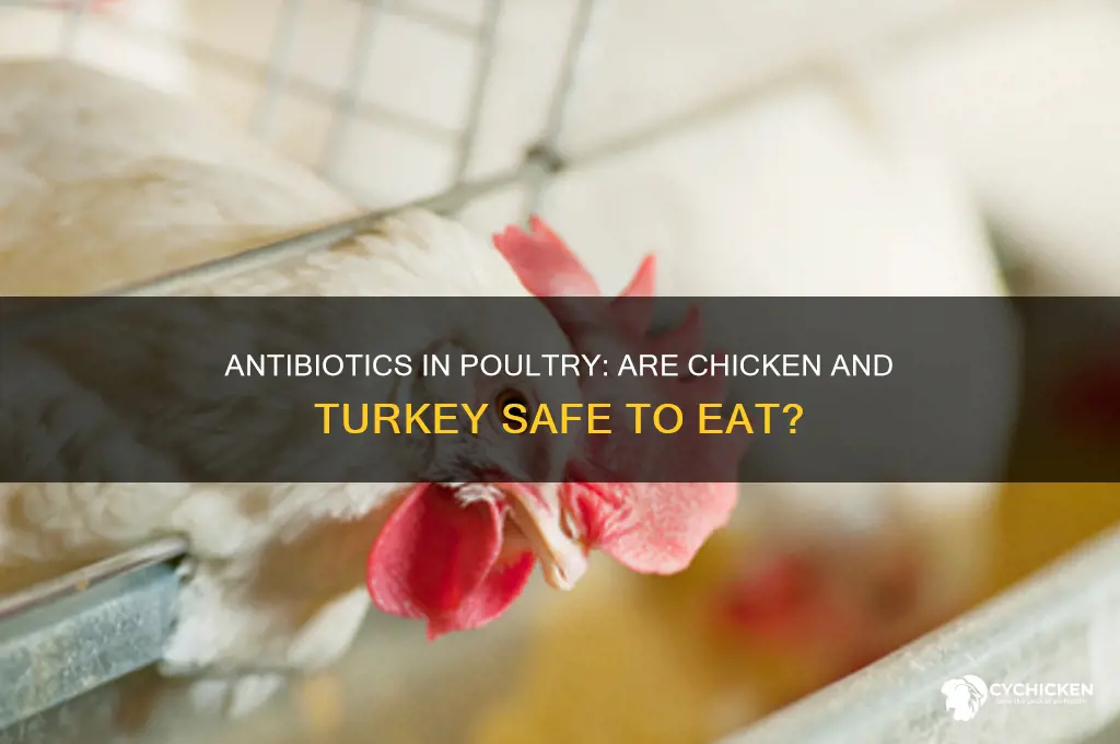 is there any antibiotics in chicken or turkey
