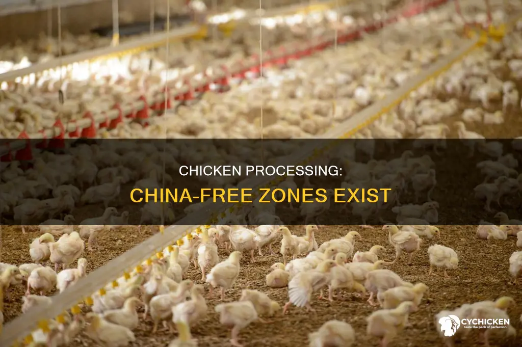is there any chicken that