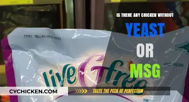 Chicken Without Yeast or MSG: Healthy Options and Recipes