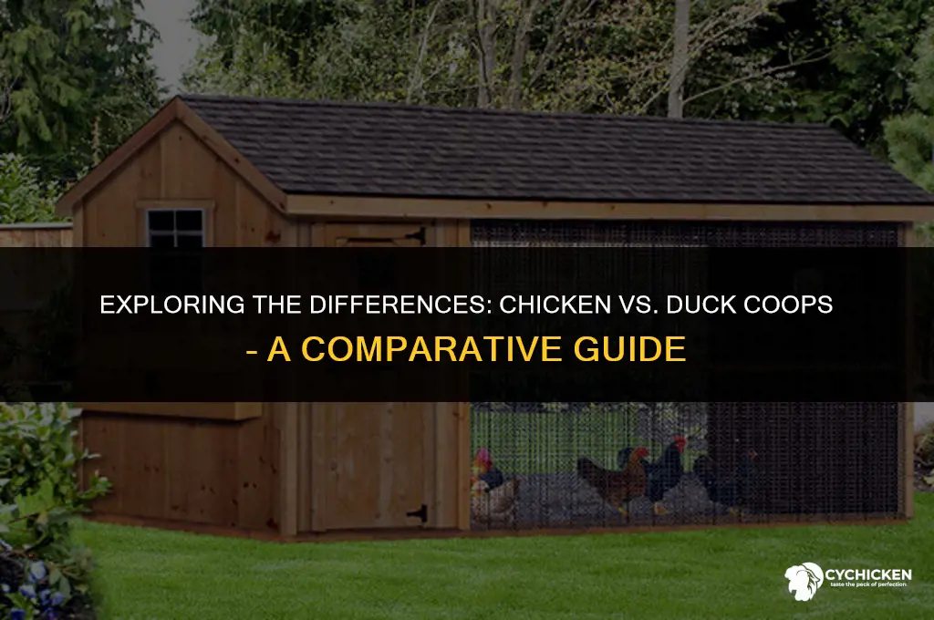is there any difference between chicken and duck coop