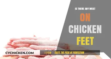 Are Chicken Feet Edible? Exploring the Meat Content and Culinary Uses