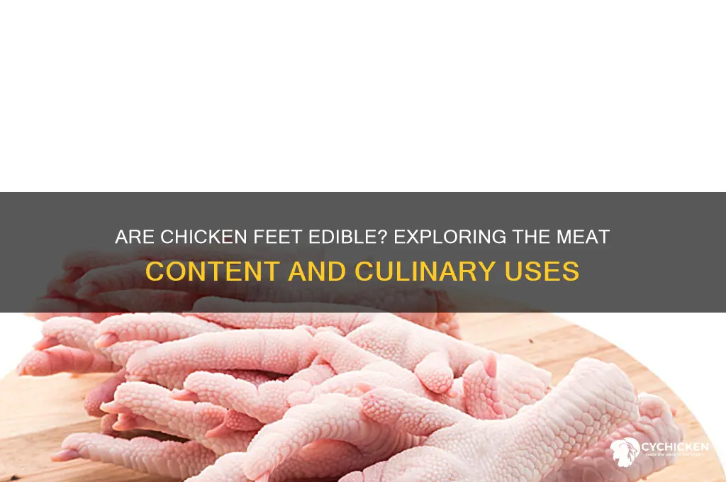 is there any meat on chicken feet