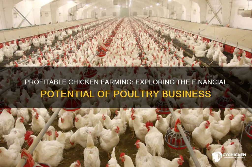 is there any money in chicken farming