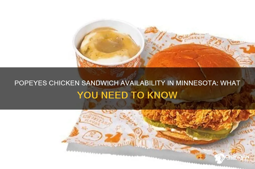 is there any more chicken sandwiches at popeyes in minnesota