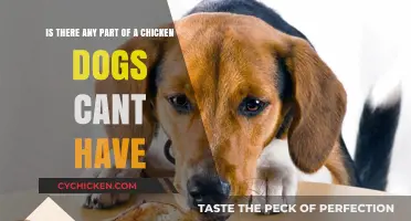 What Chicken Parts are Safe for Dogs?