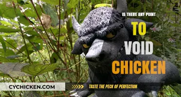 Is There Any Point to Void Chicken? Exploring the Myth and Reality