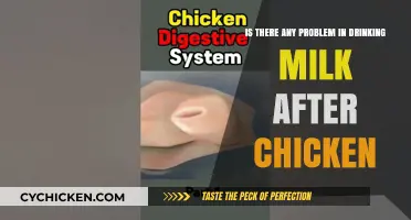 Drinking Milk After Eating Chicken: Is It Safe?