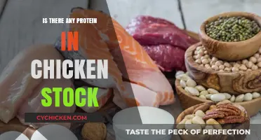 Does Chicken Stock Contain Protein? Uncovering Nutritional Facts and Benefits