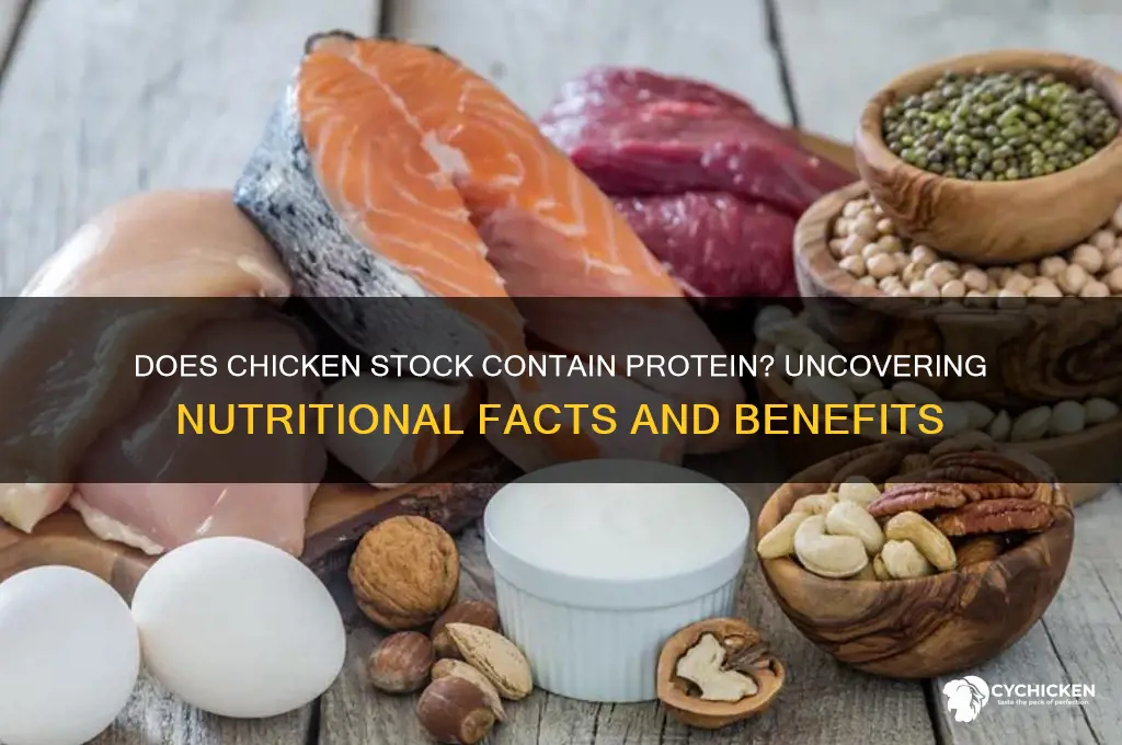 is there any protein in chicken stock