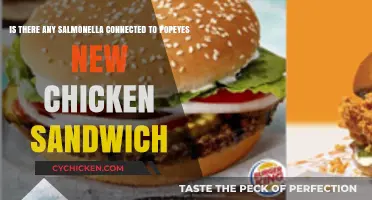Popeyes Chicken Sandwich Salmonella Scare: Fact or Fiction?