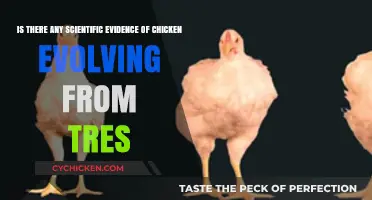 Chicken Evolution: From Trees to Birds?