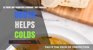 Exploring the Science: Can Chicken Broth Really Ease Cold Symptoms?