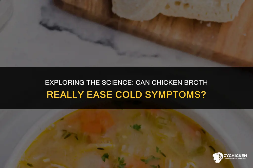 is there any scientific evidence that chicken broth helps colds