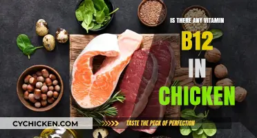 Vitamin B12 in Chicken: Uncovering the Nutritional Truth