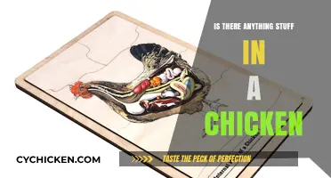 Is There Anything Inside a Chicken? Uncovering the Truth