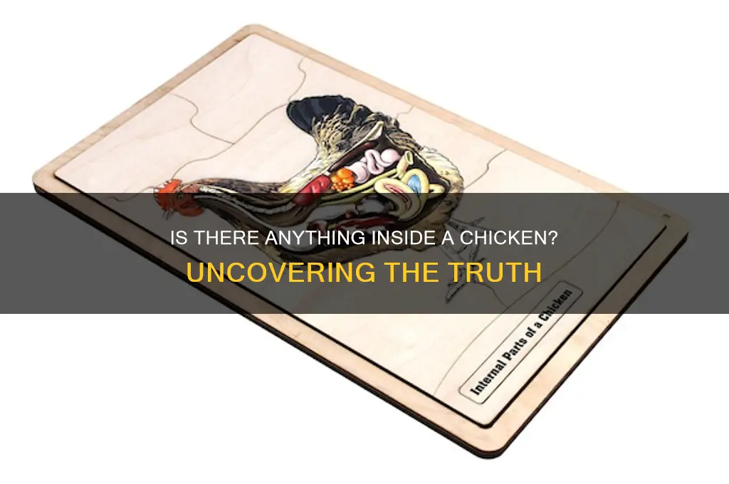 is there anything stuff in a chicken