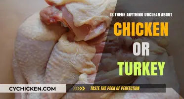 Debunking Myths: Are Chicken and Turkey Unclean Foods?