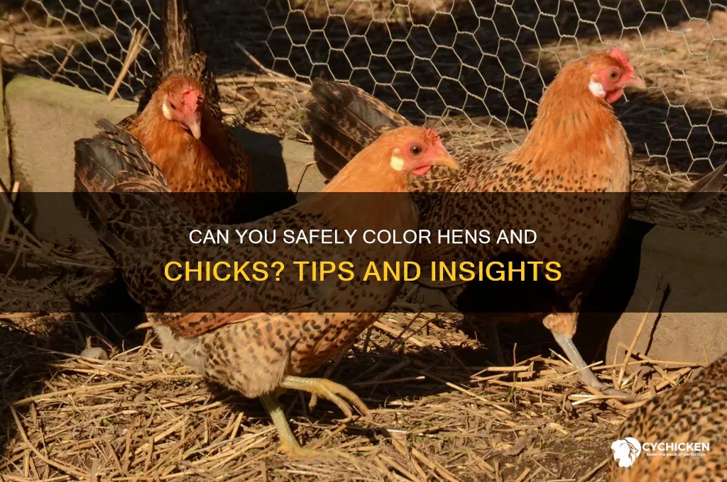 is there anyway to color hens and chicks