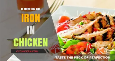 Chicken Nutrition: B12 and Iron Content Explained for Healthy Diets