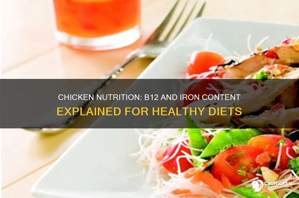 is there b12 and iron in chicken