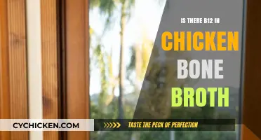 Unlocking Nutrition: Does Chicken Bone Broth Contain Vitamin B12?