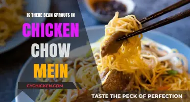 Chicken Chow Mein Ingredients: Do Bean Sprouts Belong in This Dish?