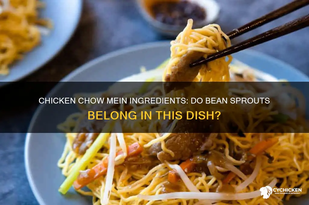 is there bean sprouts in chicken chow mein