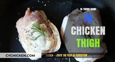 Chicken Thigh Anatomy: Debunking the Bone Myth in Poultry Cuts