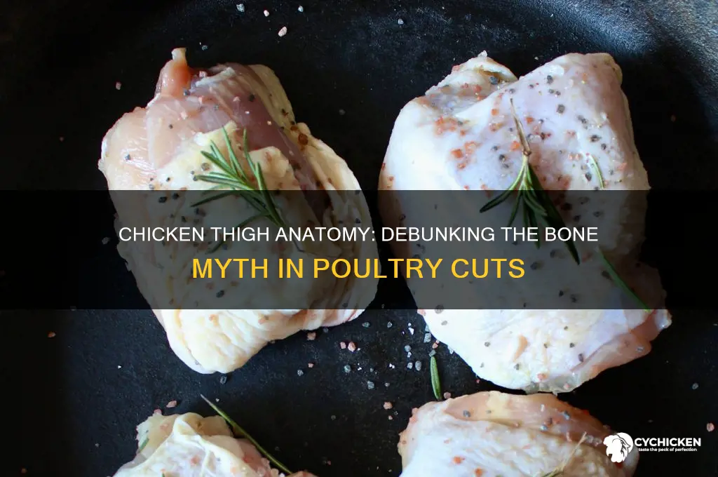 is there bone in chicken thigh