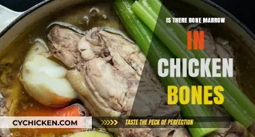 Does Chicken Bone Contain Bone Marrow? Facts and Myths Explained
