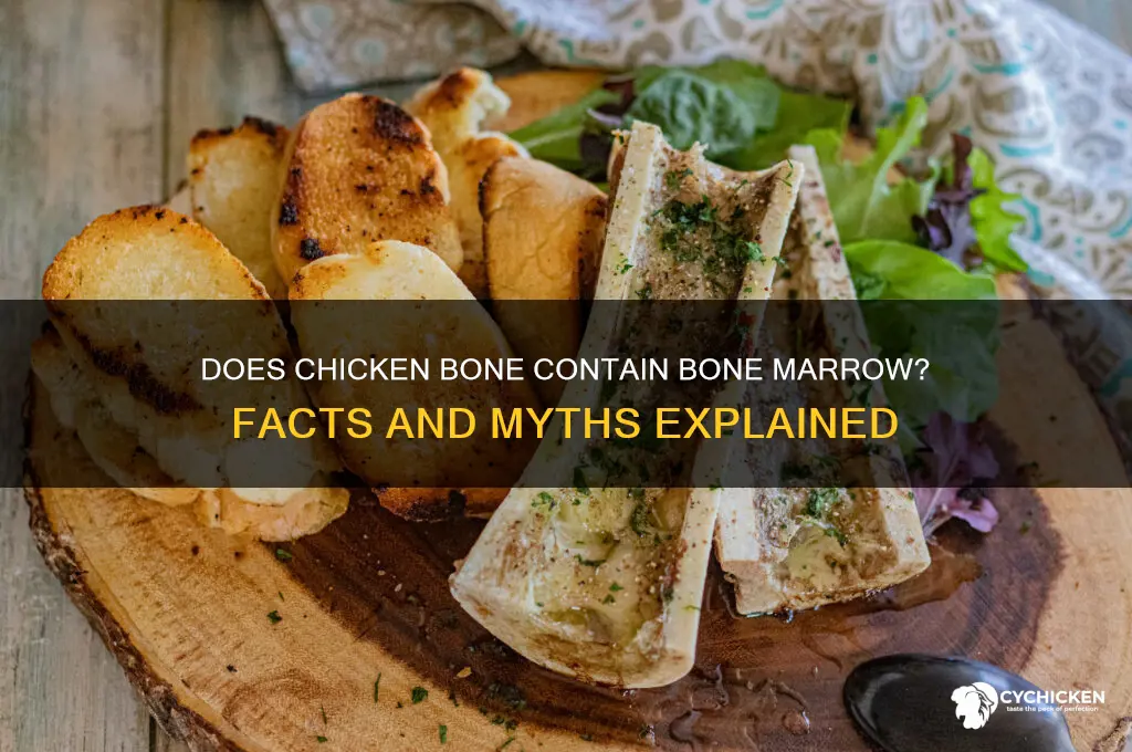 is there bone marrow in chicken bones