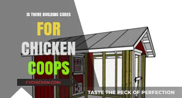 Constructing Compliance: Are There Building Codes for Chicken Coops?