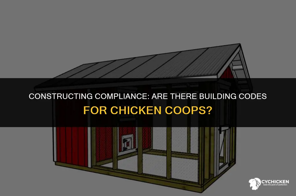 is there building codes for chicken coops