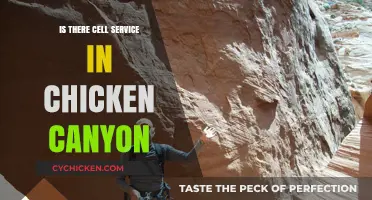 Exploring Chicken Canyon: Cell Service Availability and Connectivity Tips