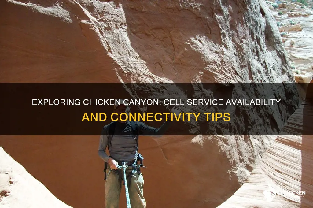 is there cell service in chicken canyon