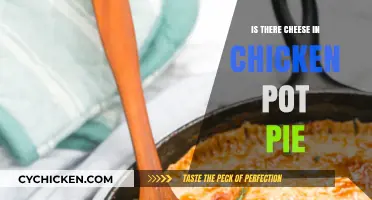 Exploring the Cheesy Controversy: Chicken Pot Pie Edition