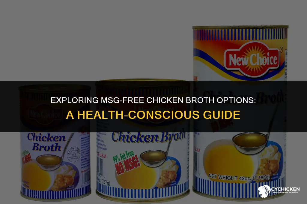 is there chicken broth without msg