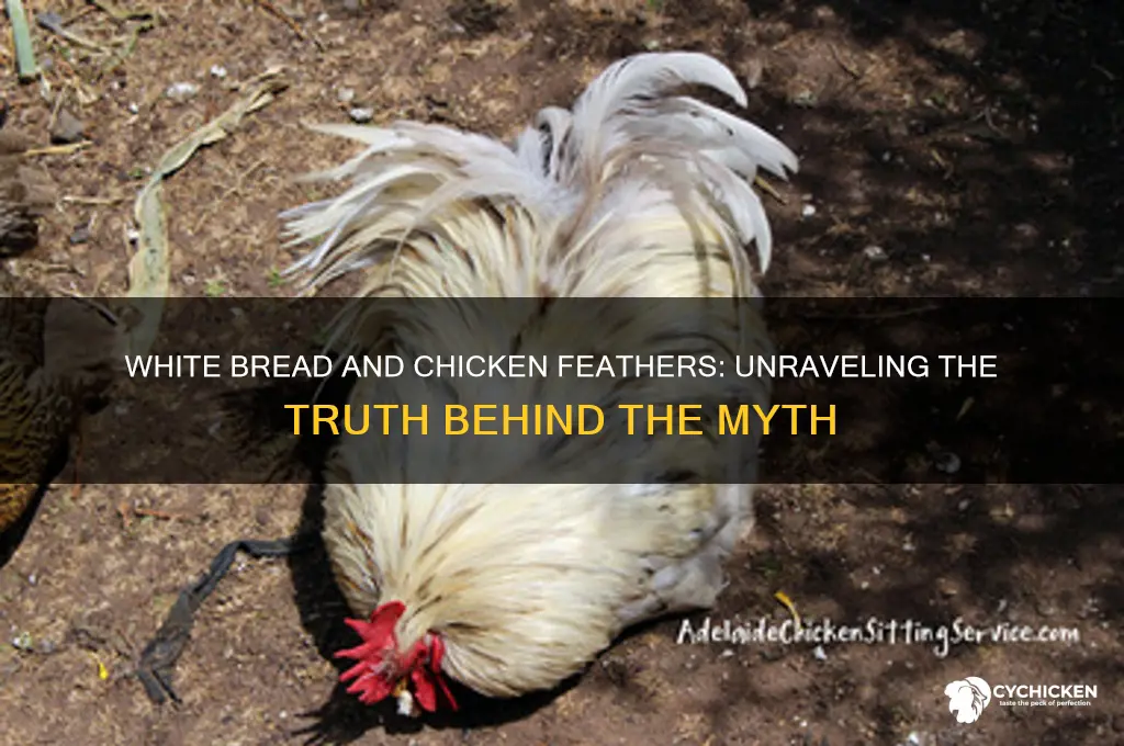 is there chicken feathers in white bread