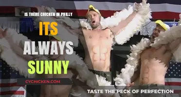 Is There Chicken in Philly? Unraveling 'It's Always Sunny' Mystery