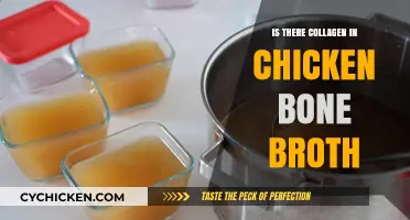 Unlocking the Secret: Does Chicken Bone Broth Contain Collagen?