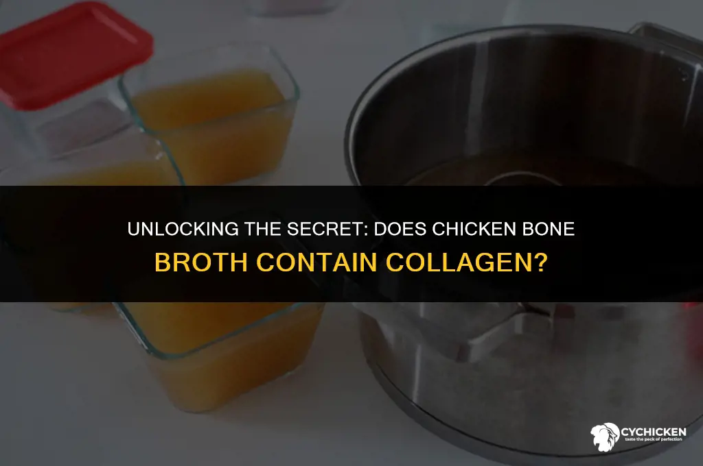 is there collagen in chicken bone broth