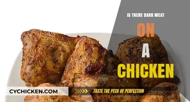 Dark Meat Mystery: Unraveling the Truth About Chicken Anatomy
