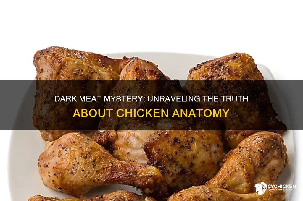 is there dark meat on a chicken
