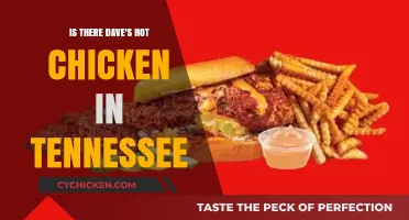 Dave's Hot Chicken in Tennessee: Locations and Availability Explored