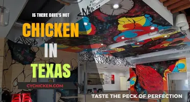 Dave's Hot Chicken in Texas: Locations and Spicy Craves